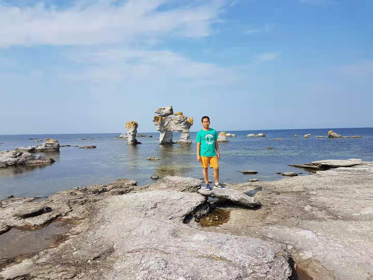 junastweeter's tweet image. Fårö Gotland August 2019