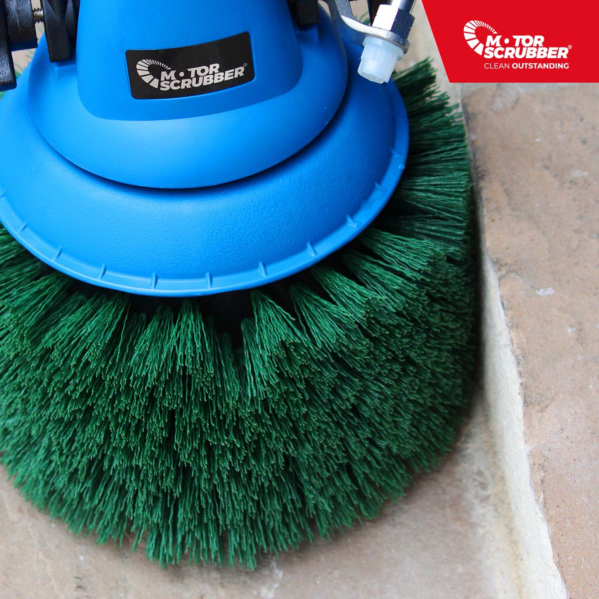 motorscrubber's tweet photo. 👀 The Green Giant is back in stock! Designed to tackle tough surfaces and perfect for outdoor stairs, uprises and tiles and grouting.
Order yours today: orders@motorscrubberclean.com or +44 0114 478 8710
#outdoorcleaning #staircleaning #MotorScrubber #tileandgrout https://t.co/iqre8AFDJi