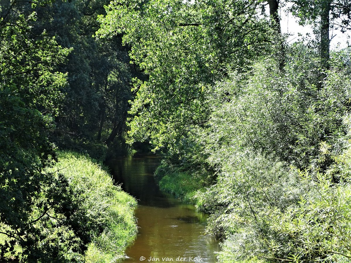BekiekTwente's tweet photo. De #Dinkel in het Lutterzand in #DeLutte #DeLut
#Losser #SchatkamervanTwente
#Twente #BekiekTwente https://t.co/nIeUXlnh2U