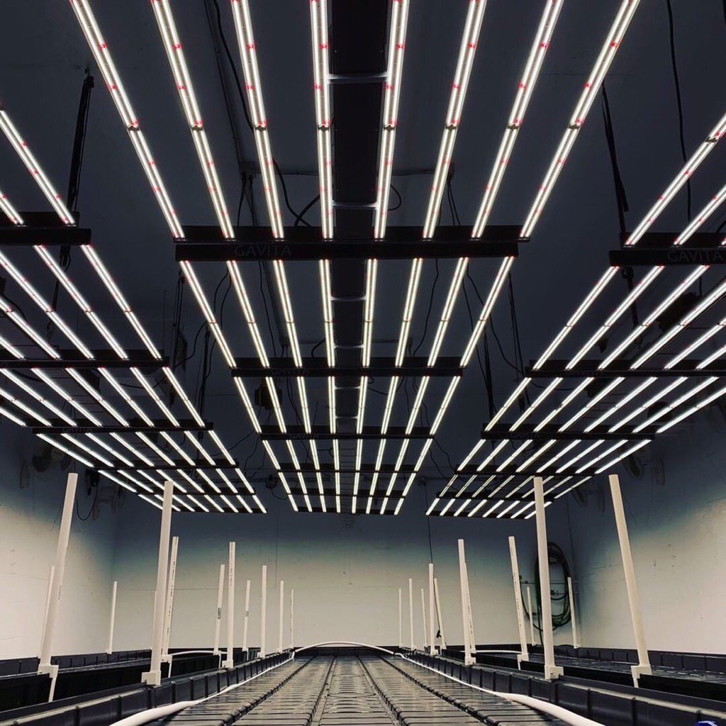 hawthornegc's tweet photo. All North American orders being shipped out to our authorized network!
Secure your new #Gavita LED with your favorite hydro retailer.
Credit: #spacestationcreations
#fourtheloveofcannabis
#hawthorne #yourfire #ourfuel #gavita #ledgrown #gavitaled #gavitagrown https://t.co/KEVm2ao4Zb