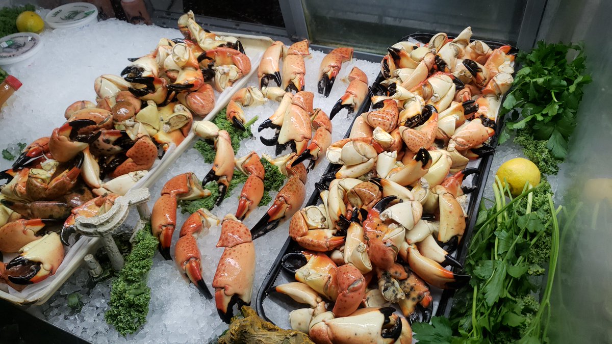 Mark your calendars for this years Stone Crab Festival from October 25th through October 27th!

#SCF19