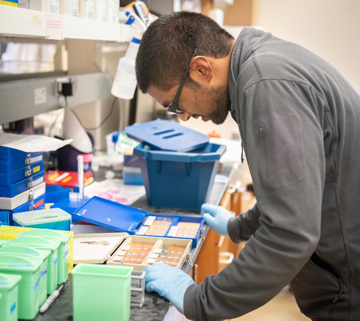 StanfordSurgery's tweet photo. Scenes from the lab: Sandeep Adem and Nestor M Deleon Diazwork on fat grafting #research in Hagey Lab @StanfordPlastic https://t.co/lzXcdW1s7g