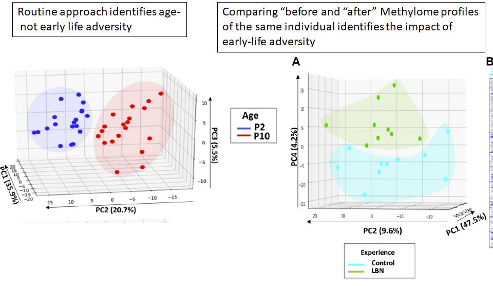 z_baram's tweet photo. Get new Epigenetic / DNA Methylomic approach in <500 words... Excited about this @NPP_Journal  Hot Topic with @calizavi of interest to @NIMHgov  @IBNSconnect @EricJNestler @UCIrvine @ucicnlm   @BohacekLab @TheBaleLab 
https://t.co/JOtAeqmb7D https://t.co/GtuTcJjNAy