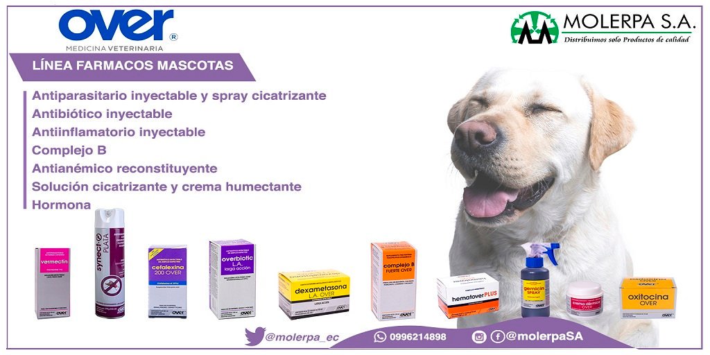 molerpa_ec's tweet photo. La linea más completa de productos para la salud de tu mascota, somos la #Marca más vendida de Ecuador #OVER #Higiene #SaludAnimal #Molerpa #MascotasFelices síguenos en #Twitter @molerpa_ec #Facebook Molerpa S.A. #Instagram @molerpa https://t.co/EaEHQJ8YU2