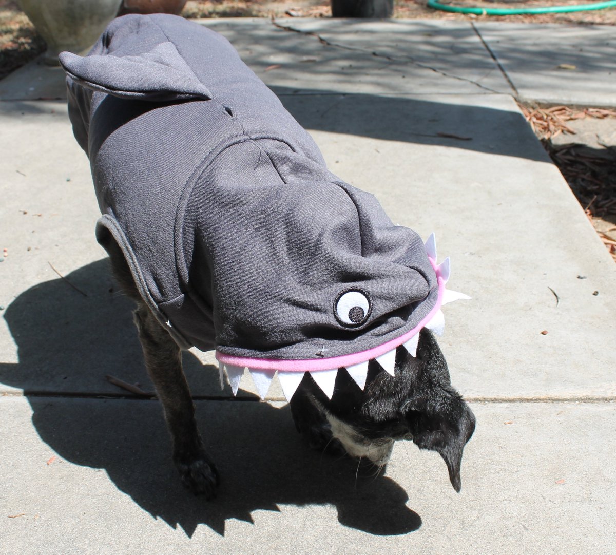AnonyMouseVids's tweet photo. This purchase was necessary. https://t.co/X913yFgPg3