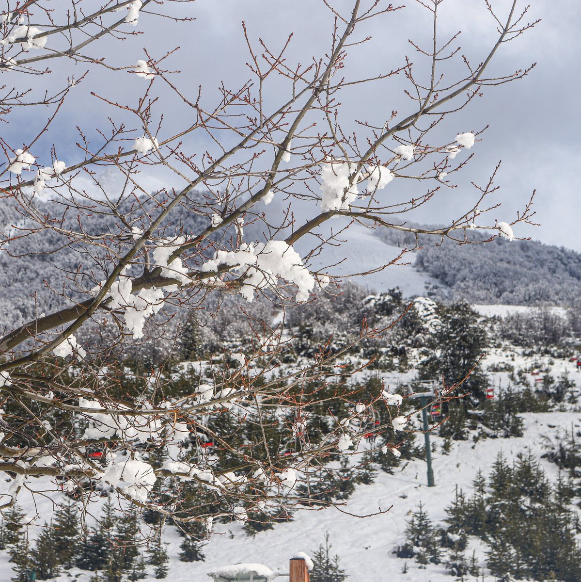 Bariloche_ar's tweet photo. Un invierno en #Bariloche es con todo. Y toda la nieve, claro 😉❄.
#InviernoConTodo 
https://t.co/gS5TmRib01 https://t.co/XurG6YwV2B