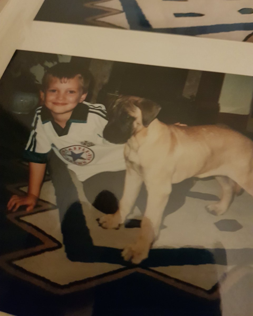 Dina was a lovely dog #bullmastiff ✌🐶