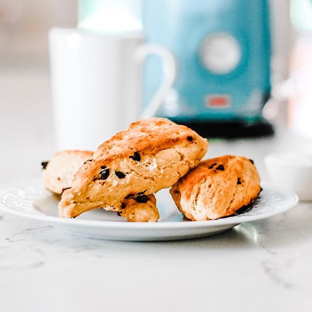 carrieeckert's tweet photo. Time to pull out the sourdough starter for our weekend scones! Check out my recipe for chocolate chip coconut sourdough scones on the blog 👉🏻 https://t.co/9OxmWDfkkz (link also in profile)⁠
.⁠
.⁠
.⁠
.⁠
.⁠
.⁠
.⁠
.⁠
#scones #chocolatechipscones #b… https://t.co/y2kO3VLilK https://t.co/qhsNw4jUjQ