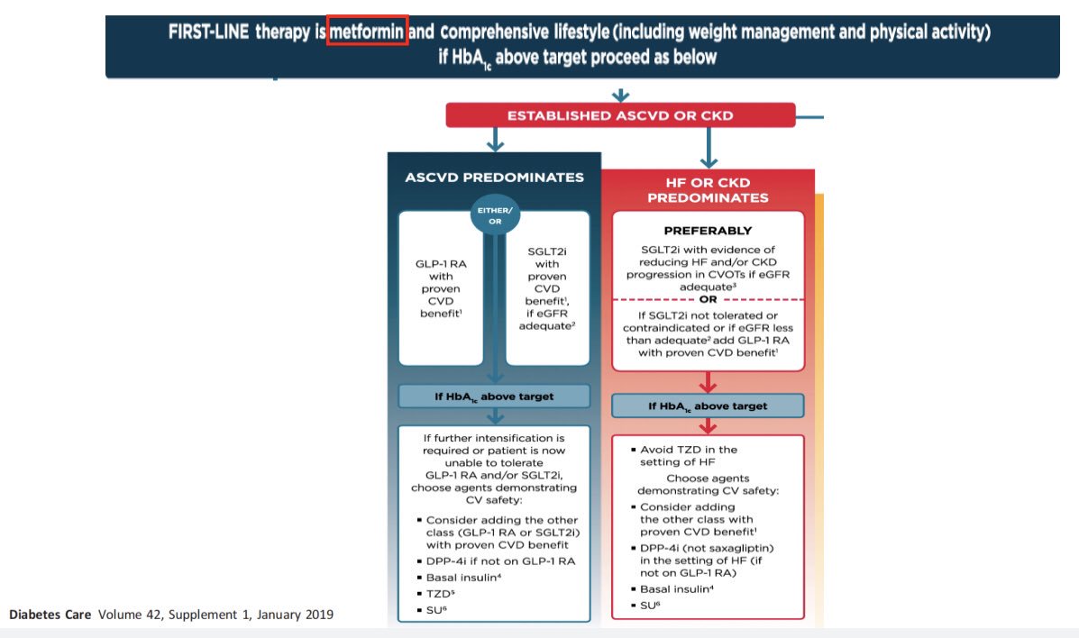 Current American Diabetes Association guidelines recommend Metformin as the 1st line therapy for all T2DM patientsBut should Metformin be the 1st line therapy in T2DM patients with cardiovascular disease?1/ #Metformin #endotwitter  #cardiotwitter