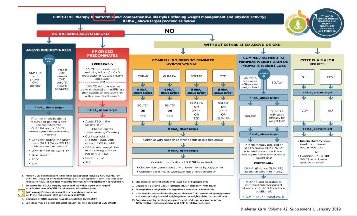 Current American Diabetes Association guidelines recommend Metformin as the 1st line therapy for all T2DM patientsBut should Metformin be the 1st line therapy in T2DM patients with cardiovascular disease?1/ #Metformin #endotwitter  #cardiotwitter