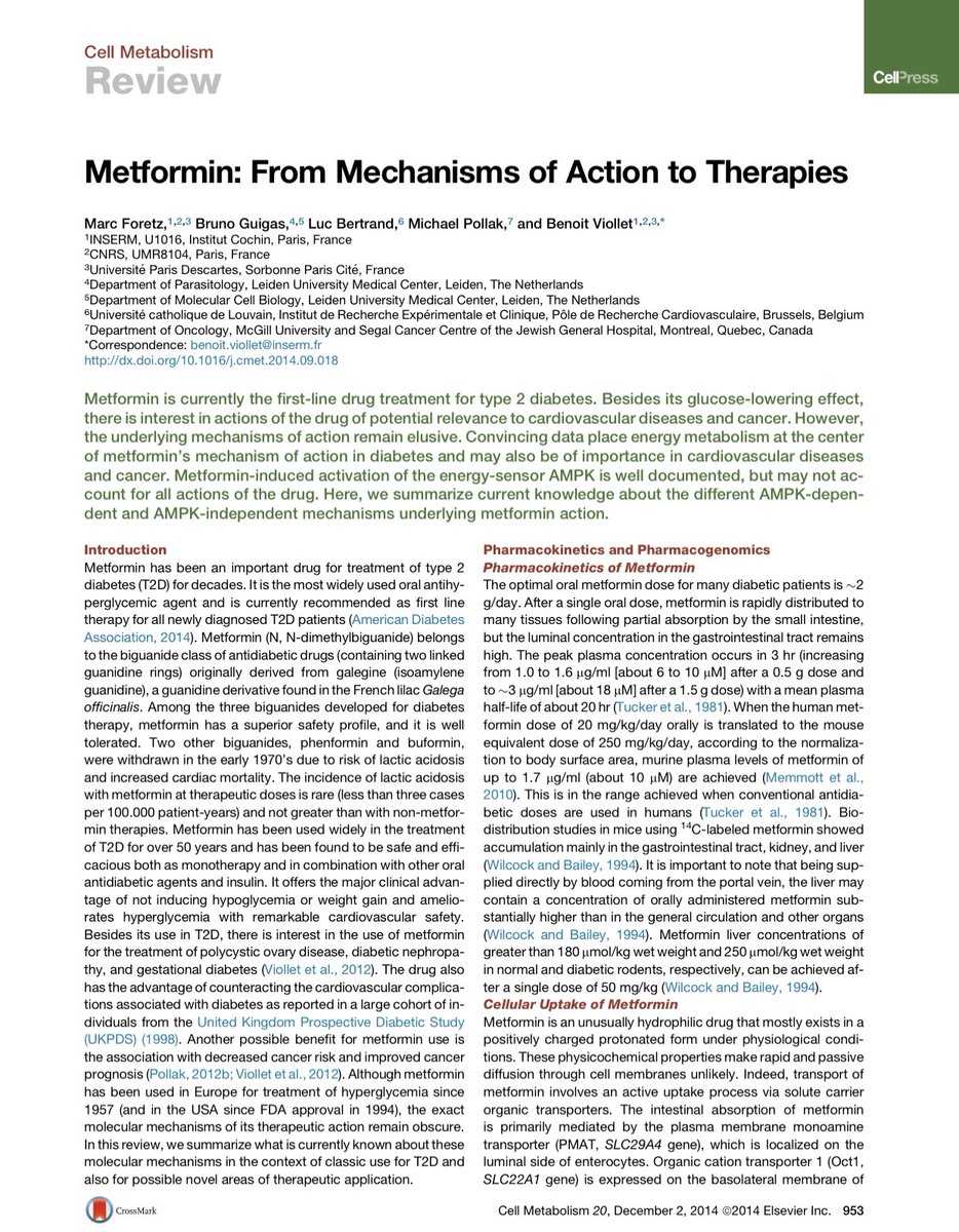 How does Metformin work?It inhibits gluconeogenesis in the liver by mitochondrial inhibition & by  activation of AMP-kinaseIt  insulin sensitivity It may have additional pleiotropic   effects3/