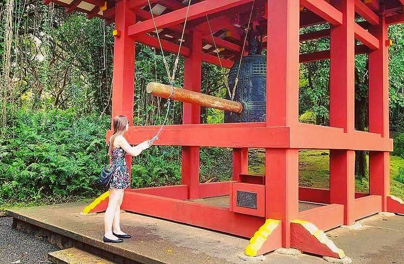 E Noa Tours tweet media