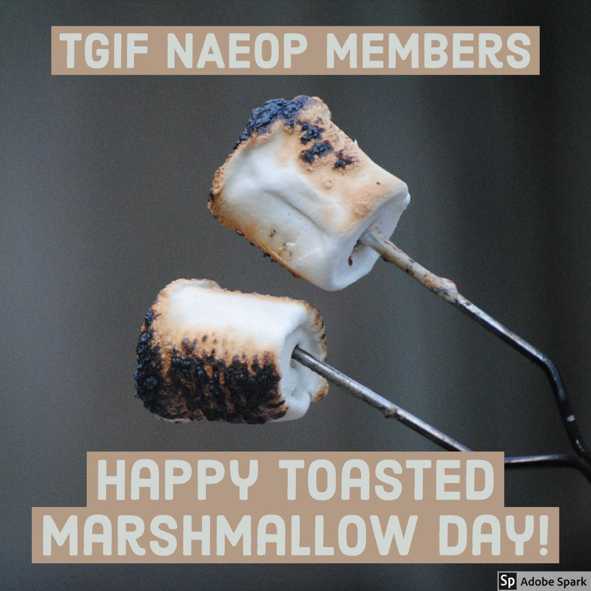 .<a href="/naeop/">NAEOP</a> What a way to start a long weekend! #NationalToastedMarshmallow Day