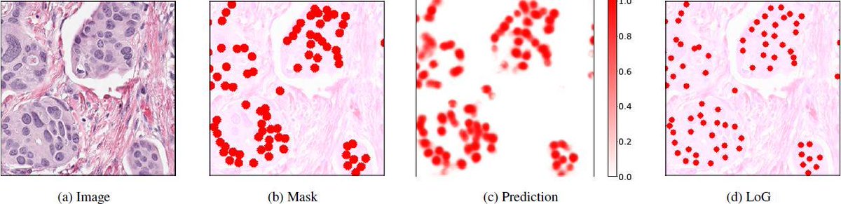 Alexander Rakhlin 🐩 tweet media