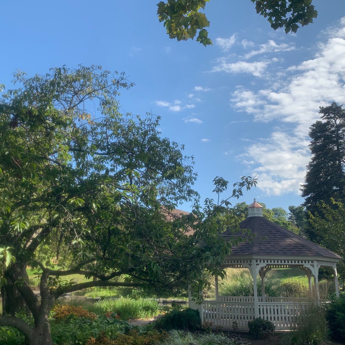 millersvilleu's tweet photo. You made it through your first week. 👏 👏 👏 

Enjoy the three day weekend, Marauders! https://t.co/EJ8pPG30OV