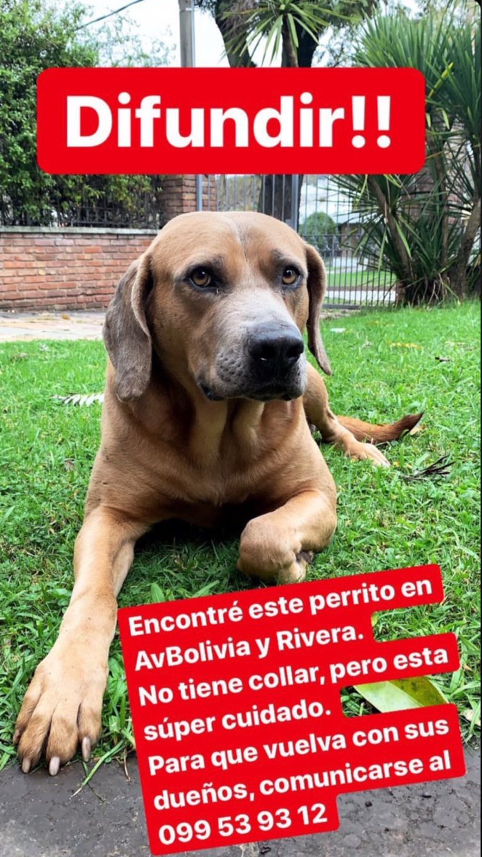 LaBorges10's tweet photo. Difundir 🙏🏼 https://t.co/INhkYWHKb4