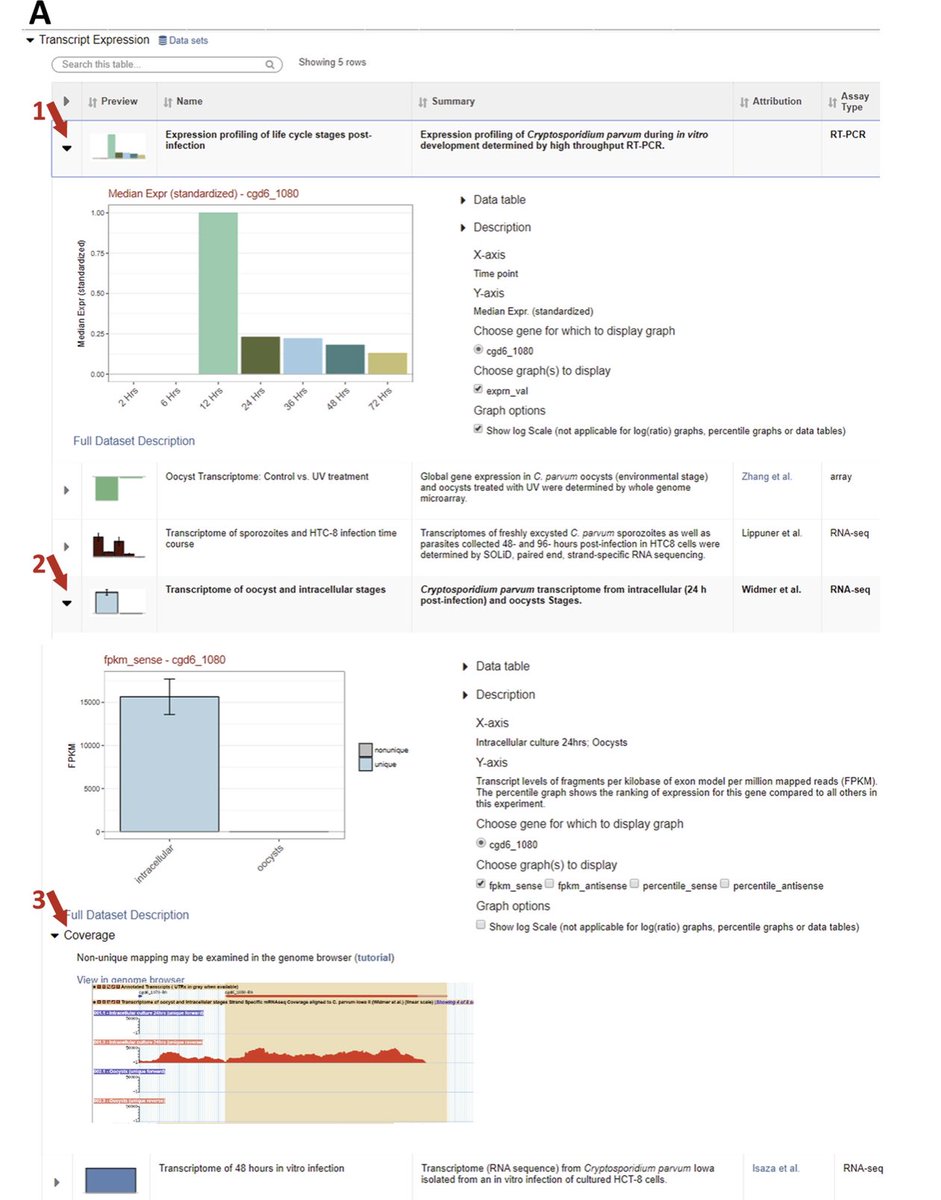 veupathdb's tweet image. Check our most recent review on using #CryptoDB link.springer.com/protocol/10.10…
