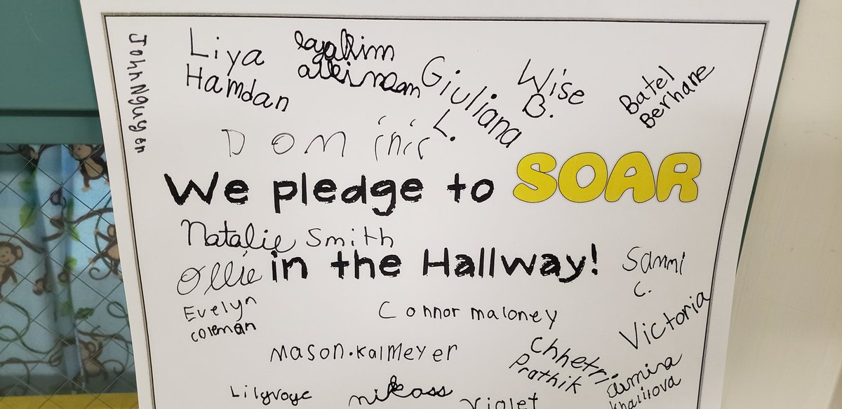 PrincipalMiz's tweet photo. 4 more rooms have taken the pledge to SOAR in the hallway. #MyrtleElementary #PBIS https://t.co/GMHUphSrFx