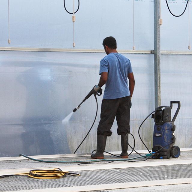 vanstoneplants's tweet photo. Cleaning an empty greenhouse #sosatisfying https://t.co/aLRaIgnbqK