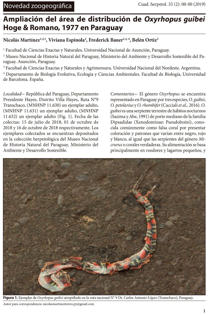 ATranschaco's tweet photo. Ampliación del área de distribución de Oxyrhopus guibei
Hoge &amp; Romano, 1977 en Paraguay. #EnParaguayHacemosCiencia https://t.co/DbyiUoM0Ub