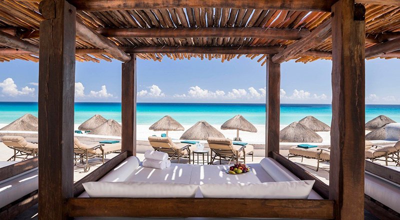 Tropicality tweet media