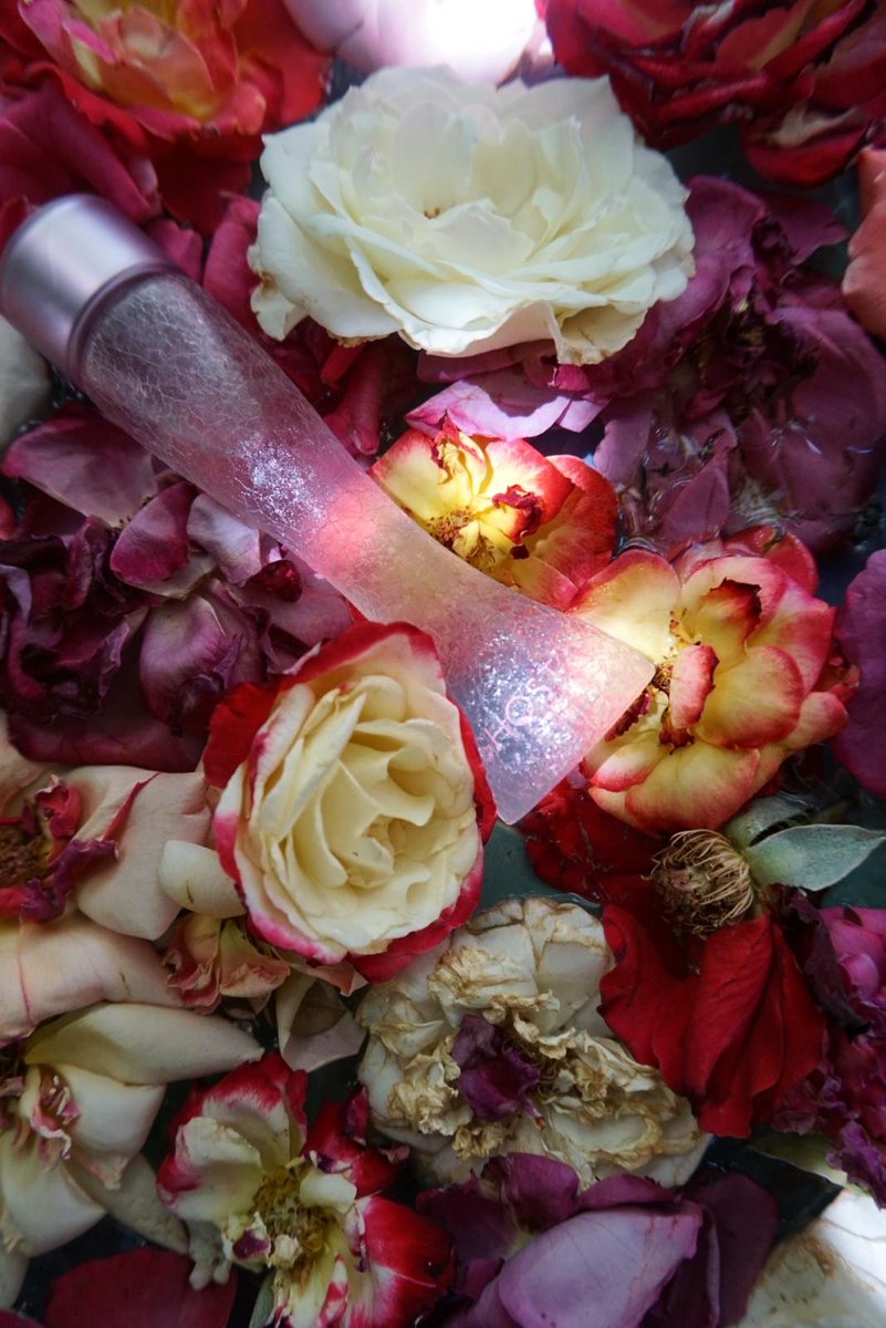 Ghost Fragrances tweet media