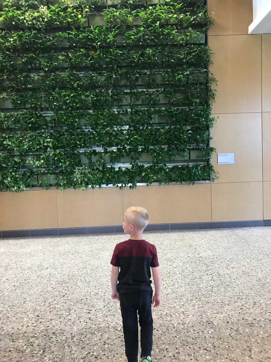 jf_davidson's tweet photo. #lifeatcentral Took my #futurechip to the BioSciences building today. He loved looking at the plants, fish, and peeking in to the science labs. #fireup #sciencekid #classof2035 https://t.co/UBJzrehEhq