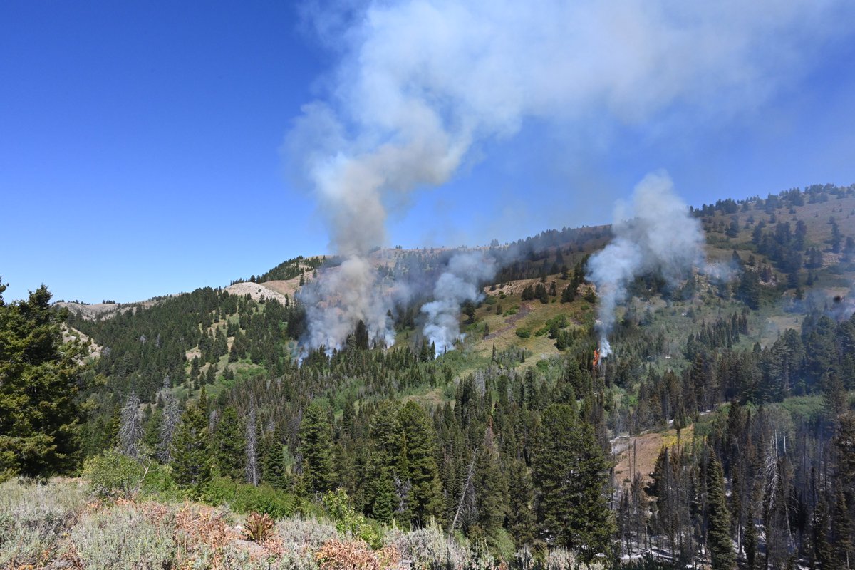 Caribou_Targhee's tweet photo. Fire officials have completed 800 acres of the project area for the #FallCreek Aspen Restoration Project. Work will continue as conditions allow. #CTNF https://t.co/F0dx5b8P9a