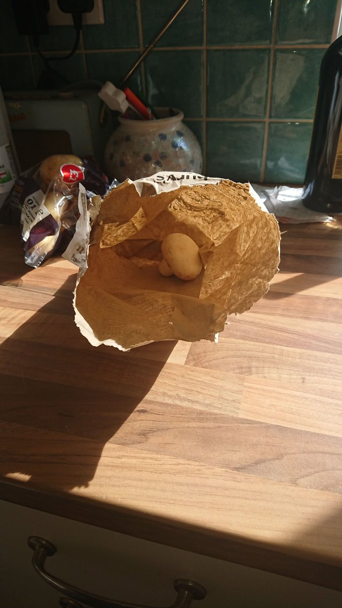 MikeGough's tweet photo. @sainsburys online shop order arrived earlier. Don't recall ordering a single mushroom.. Bloody cheek, charged me for it as well.. https://t.co/YZoQwD579H