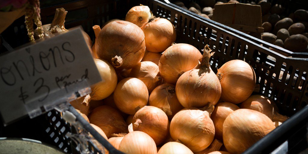 Did you know that #YoungFarmers offers in-person workshops across the country? We've trained over 2,000 farmers in the past 2 years! If you're looking for more info on #producesafety, #findingfarmland, or H2O mgmt, check out our site to learn more ➡️ youngfarmers.org
