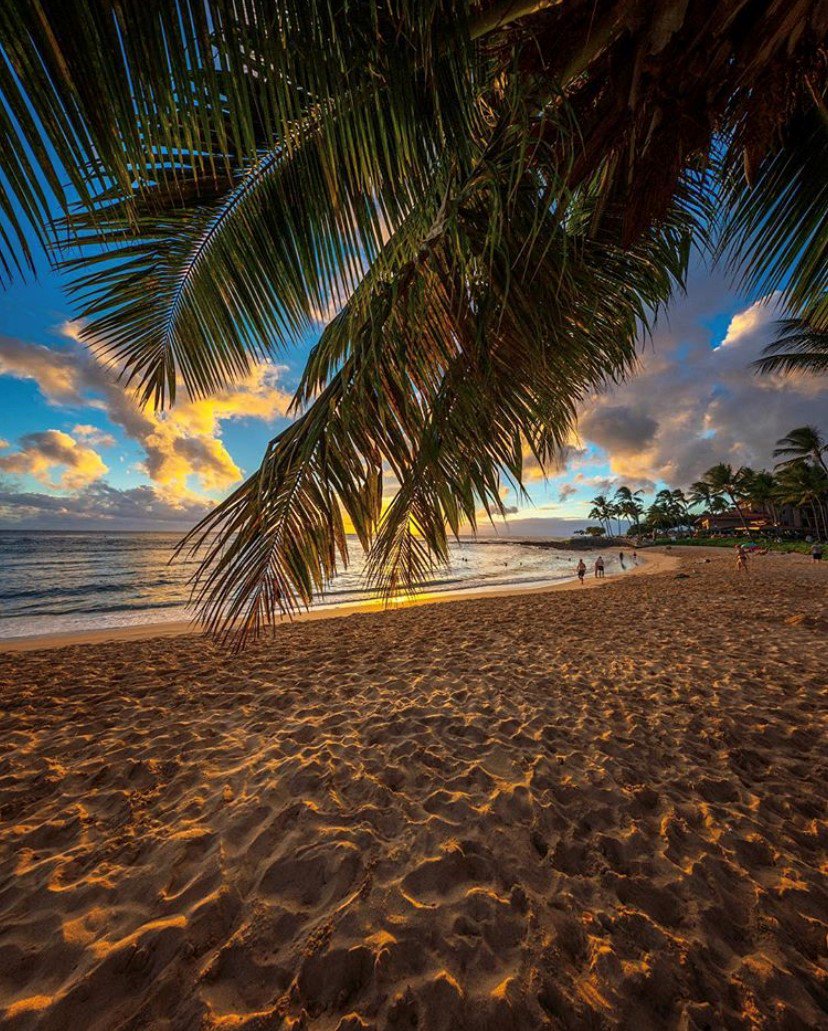 Can you imagine yourself on this beach? We sure can! Happy #AlohaFriday to all of our MacNut-loving fans! 🌊🏝️
Mahalo for this gorgeous photo 📸 <a href="/bryankroten/">Bryan Kroten</a>
