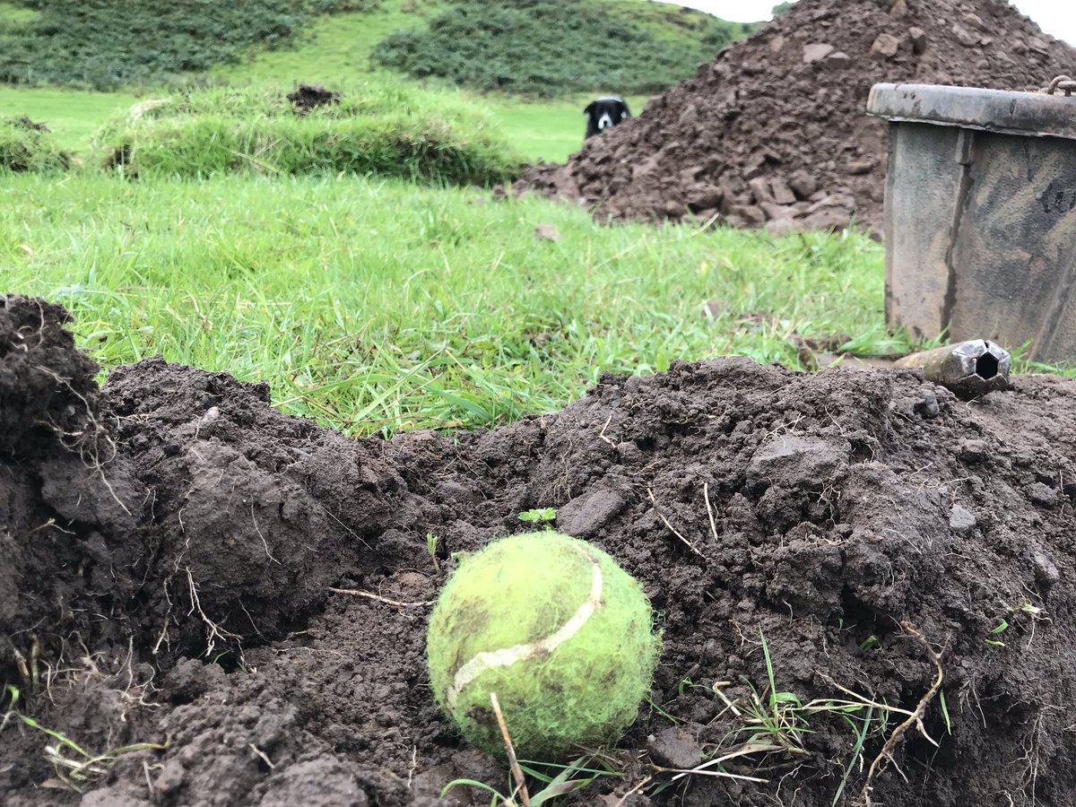 MarginalViking's tweet photo. Maybe the archaeologist will do me a fetch? #ATP19 #Ardnamurchan https://t.co/P11EW4rmkC