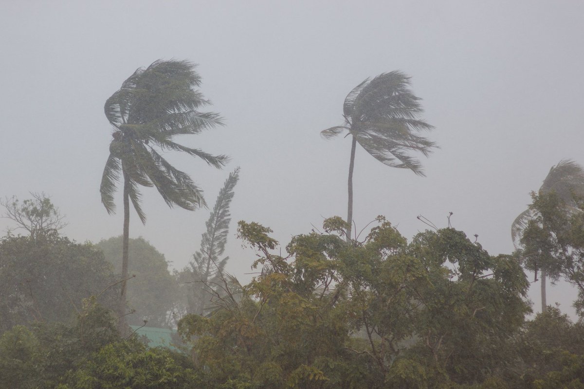 Si estás en la ruta de #Dorian puedes seguir su trayectoria y aprender qué hacer antes, durante y después de la tormenta en: bit.ly/30LqEkj
#HurricaneSeason #TemporadadeHuracanes2019