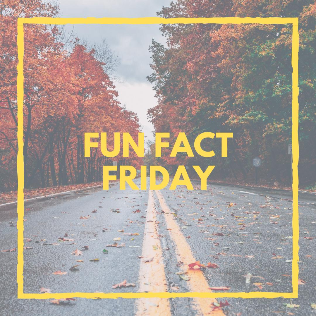 PurdyGina's tweet photo. Fun Fact Friday π‘ππ
Time to start thinking about your Home Fall Maintenance Checklist! Click link: https://t.co/HusjnAMDLO
#FunFactFriday #PurdyPleased
π·:Craig Adderly from Pexels https://t.co/6rlkIcwbsk
