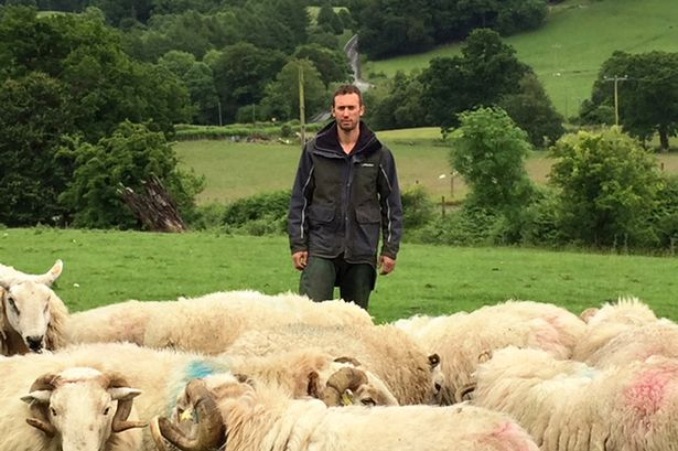 FfermwyrDrosAnnibyniaeth / FarmersForIndy tweet media