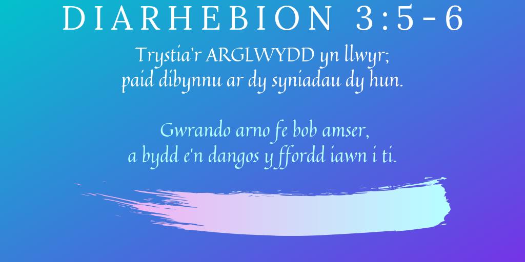 beibl_net tweet media
