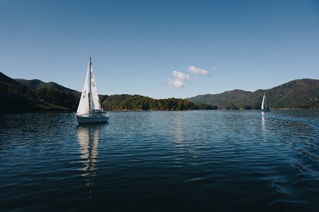 There are lots of great things to do this Labor Day weekend including the Fall Naturalists Rally at Roan Mountain State Park, a D-Day 75th Anniversary event Saturday at Sycamore Shoals State Park, live music at Riverside Taphouse, Jiggy Ray's and The Sta… ift.tt/2HyAfDw