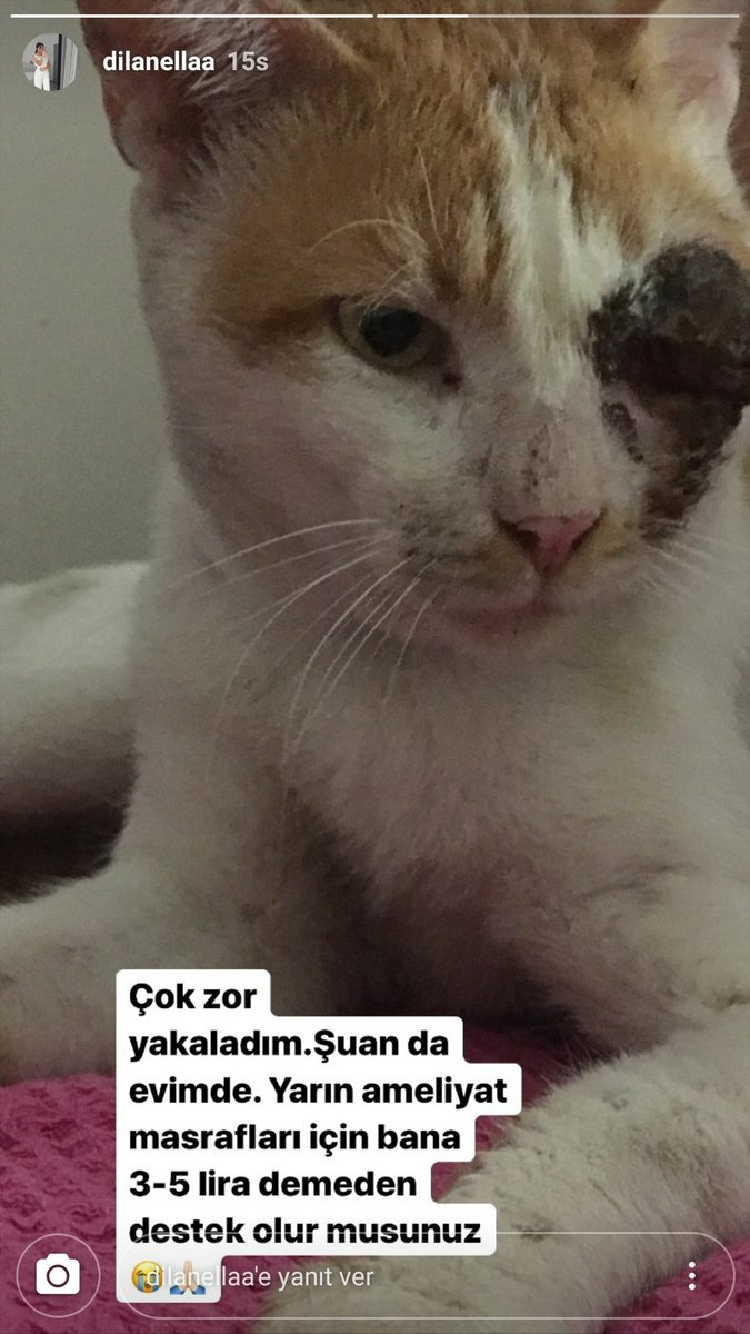 acilci_com's tweet photo. Ve ameliyattan çıktık 🤗🤗 https://t.co/iRt1CoM6mD