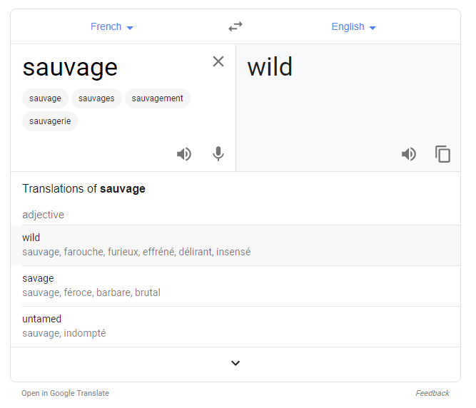 View image on Twitter