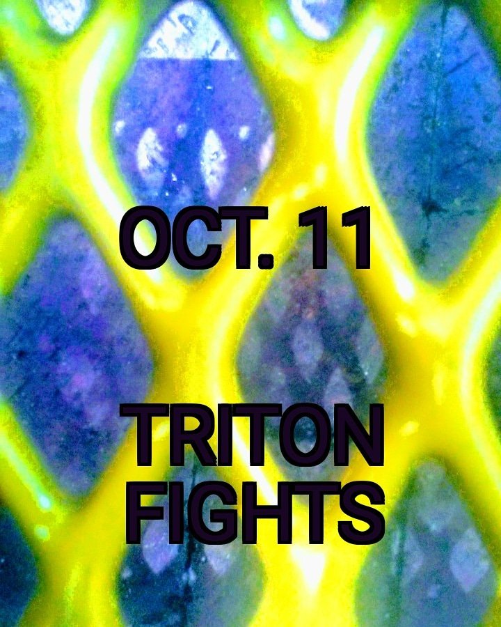 CaddyRoyal1's tweet photo. Lets Get It!
.
Oct.11 Don't miss Triton Fights 15!
. 
Road to the UFC!
.
Champion mind.
.
#newyorkcity #tritonfights
.
My life is my #art (TheRuthlessNiceGuy)
.
#martialarts #world #champion #passion https://t.co/GySALP5jQe
