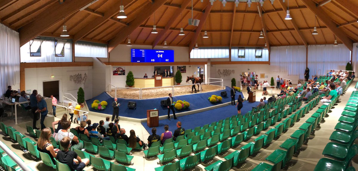 Catch up on the 2019 <a href="/BBAG_Sales/">BBAG</a> Yearling Sale from the sale report in tomorrow’s EBN ❗️

⭐️ Highlights of the day include a RECORD-BREAKING €820,000 sale for Lot 44, a SEA THE STARS (<a href="/AgaKhanStuds/">Aga Khan Studs</a>) filly sold to <a href="/godolphin/">Godolphin</a> from Gestüt Brümmerhof ⭐️

#readallaboutit