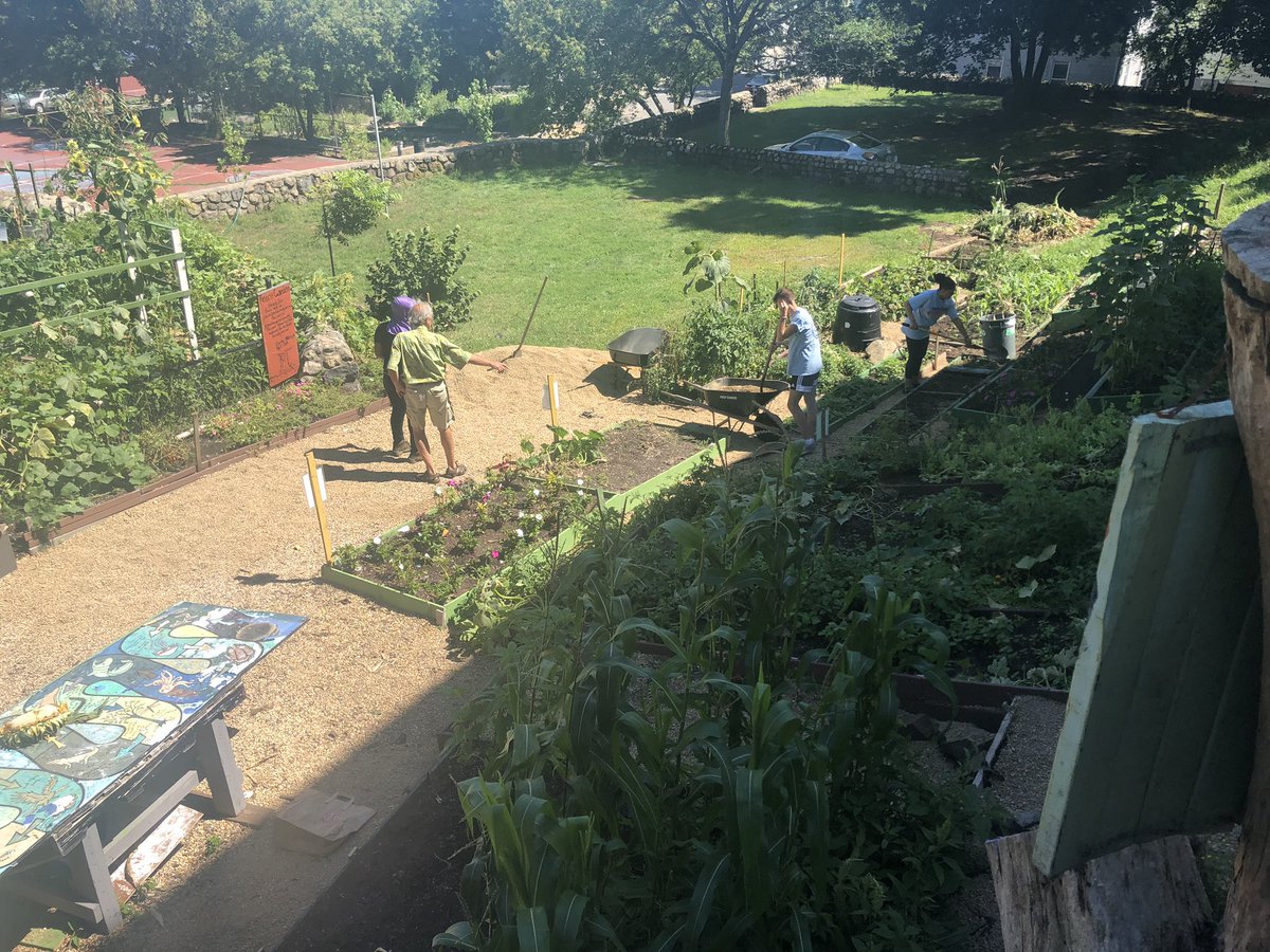 LifeAtSSU's tweet photo. Vikings go green at Highlands Coalition community garden in Lynn! Planting seeds for the future at FY Day of Service #ssuservice https://t.co/LhEzy2bgwS