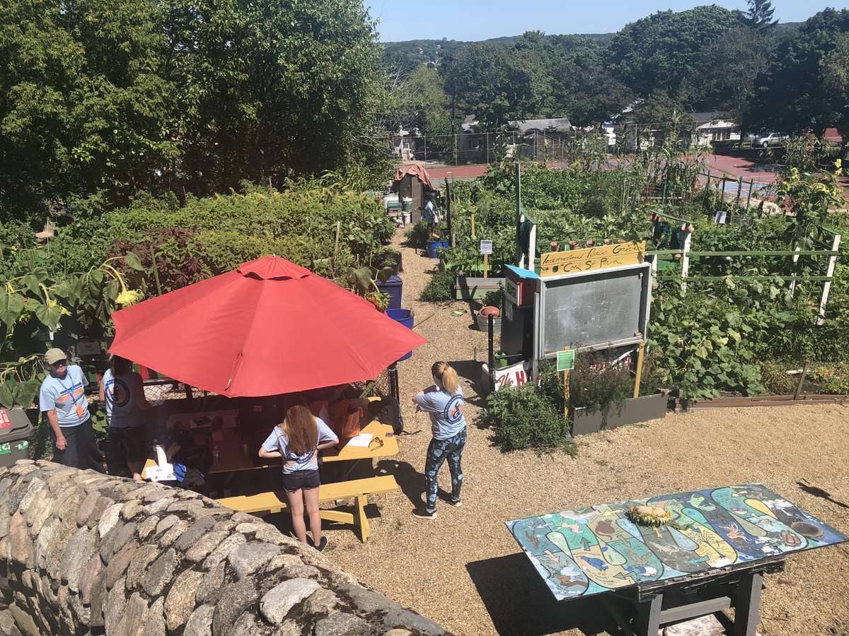 LifeAtSSU's tweet photo. Vikings go green at Highlands Coalition community garden in Lynn! Planting seeds for the future at FY Day of Service #ssuservice https://t.co/LhEzy2bgwS