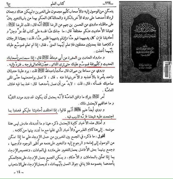 علي tweet media