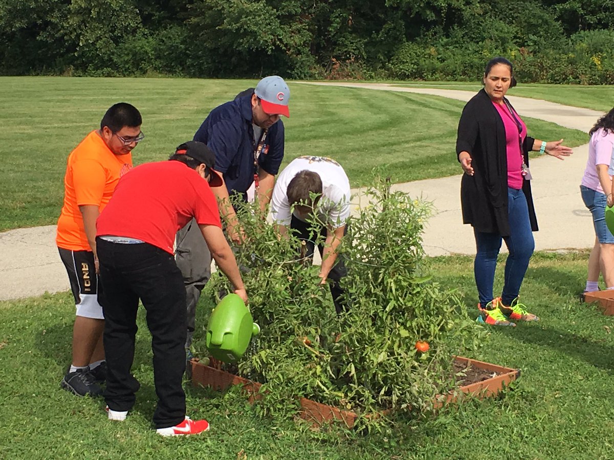 gsmifta's tweet photo. I’m very impressed with the work ethic shown by our TLC students &amp; staff. I guess we have some hot peppers almost ready if anyone is feeling adventurous. #ourndsec #ndsectlc @BensenvilleLib https://t.co/9A1qMQGWfk