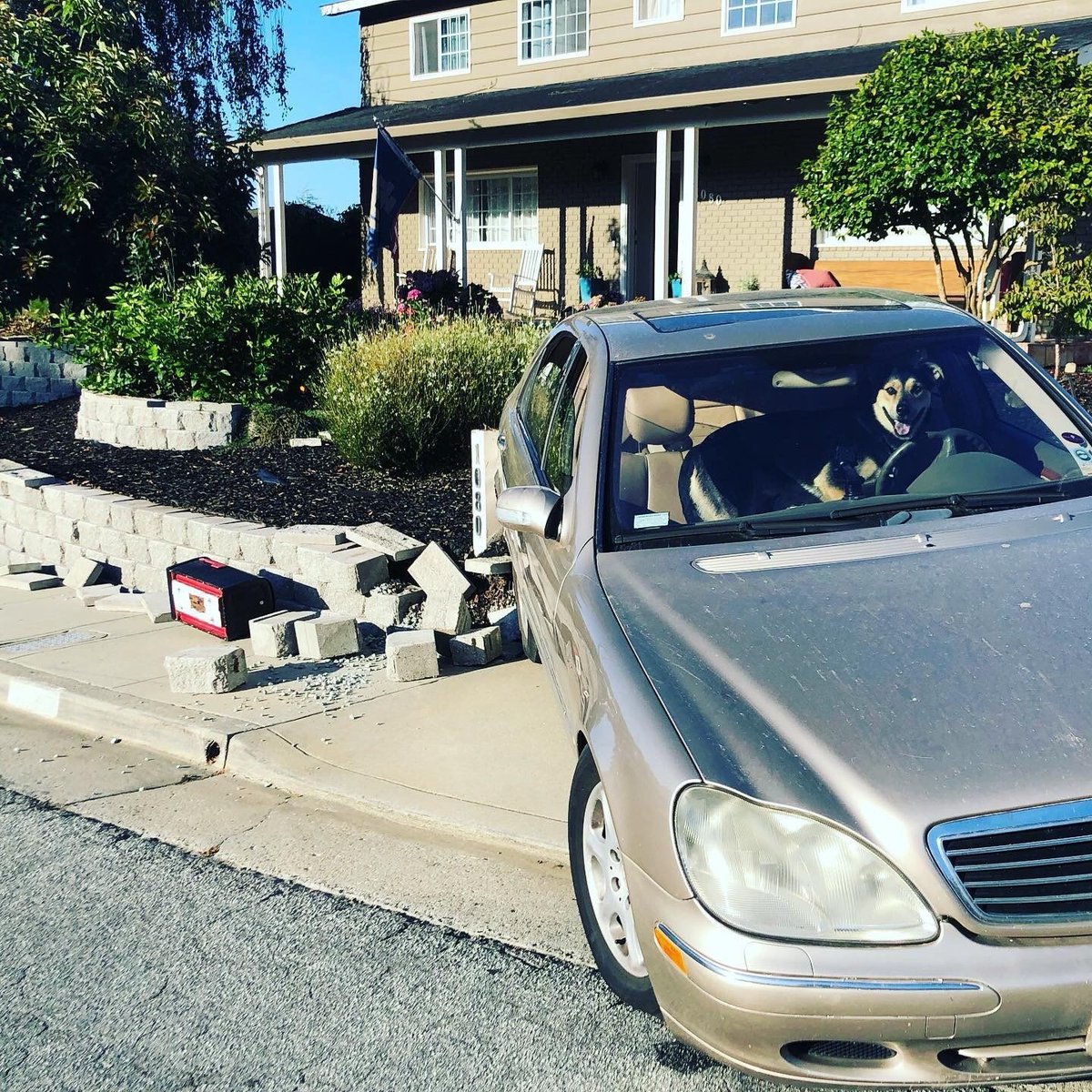 Mary_reports's tweet photo. APTOS DOG CRASHES CAR: Neighbors say the dog was in the car waiting for its owner when somehow the leash managed to get tangled on the shifter and pulled the car into neutral. No one was injured.
@KION546 will have the bizarre story tonight.
Look at how proud he looks! LOL https://t.co/pK0wyovVUa
