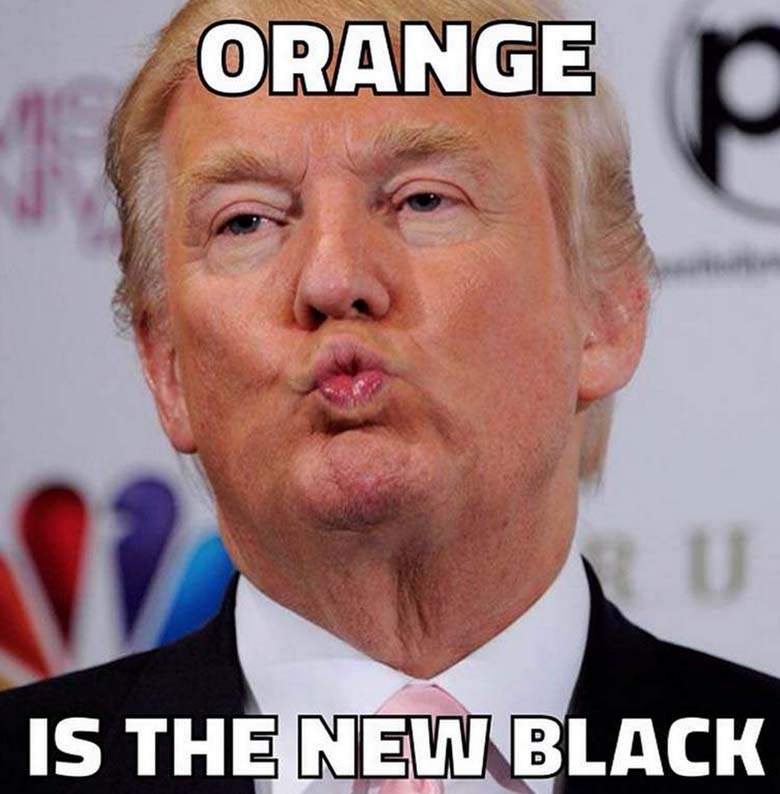 NotTrumpIn20 tweet picture