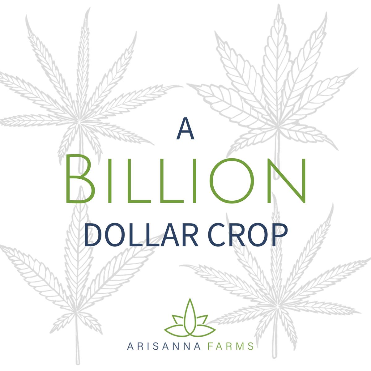 ArisannaFarms's tweet photo. ⁉️ Did you know ⁉️
In 1938, 'Popular Mechanics' called hemp "a billion dollar crop"?
#Hemp #HempHistory #HempFacts #BillionDollars #CashCrop #HempFarming #HempFarm #HempCommunity #HempCanSaveThePlanet #HempCanSaveTheWorld #HempStats https://t.co/Lrm6zvkq1i
