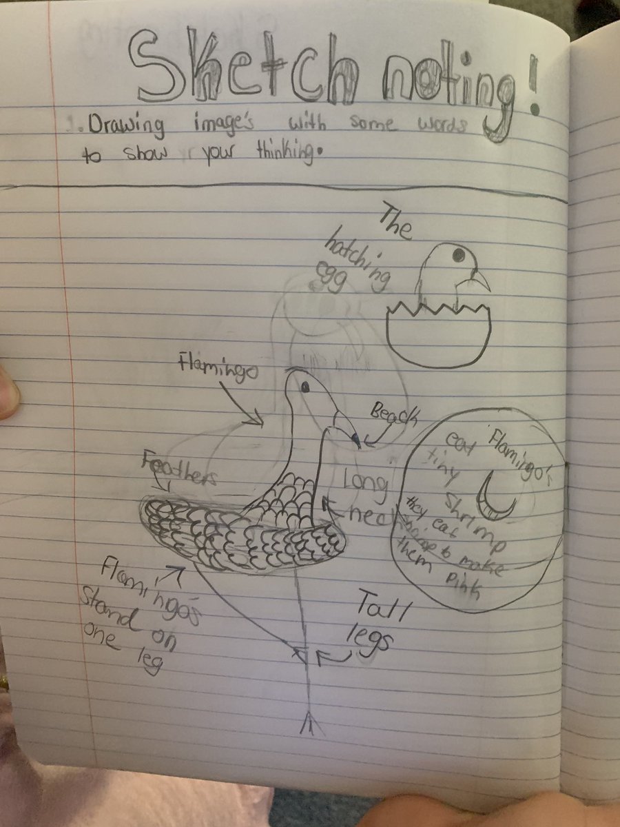 Waso4SCE's tweet photo. #Sketchnoting connects images & words to enhance comprehension of what we are reading, watching or listening to! #readinglives https://t.co/r4LBil9Iv4