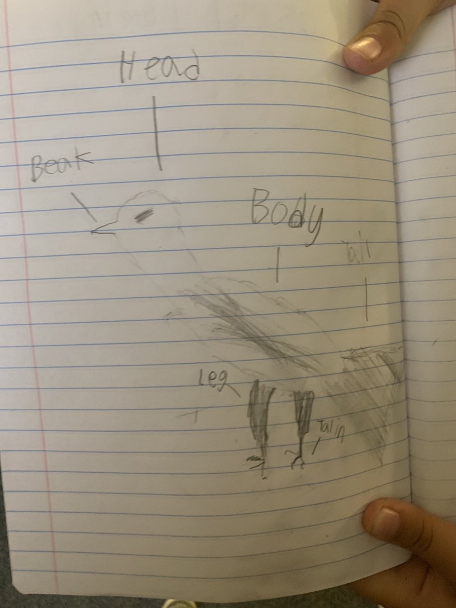 Waso4SCE's tweet photo. #Sketchnoting connects images & words to enhance comprehension of what we are reading, watching or listening to! #readinglives https://t.co/r4LBil9Iv4
